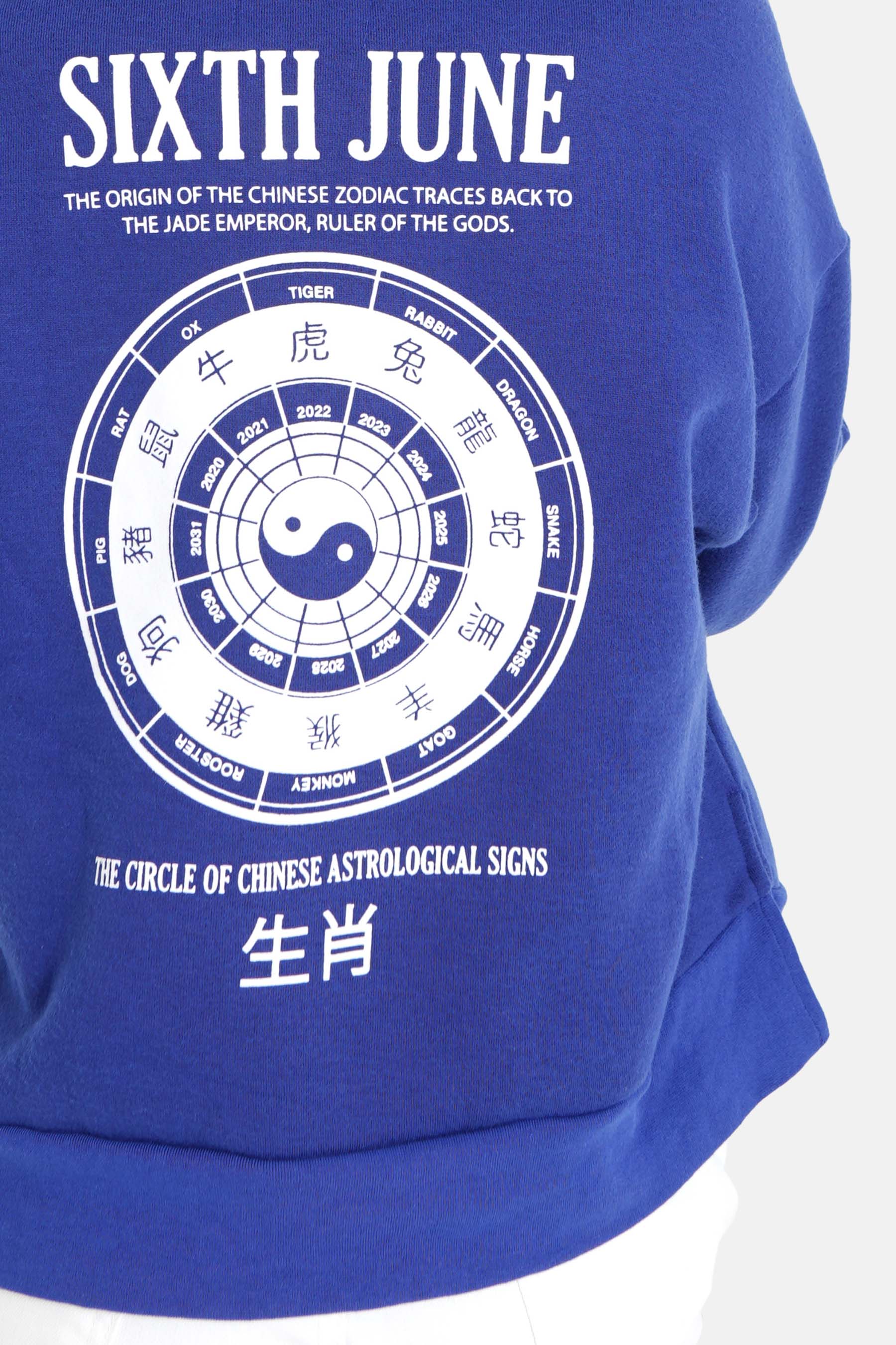Sweat capuche astrologie chinese Bleu foncé - Image 3