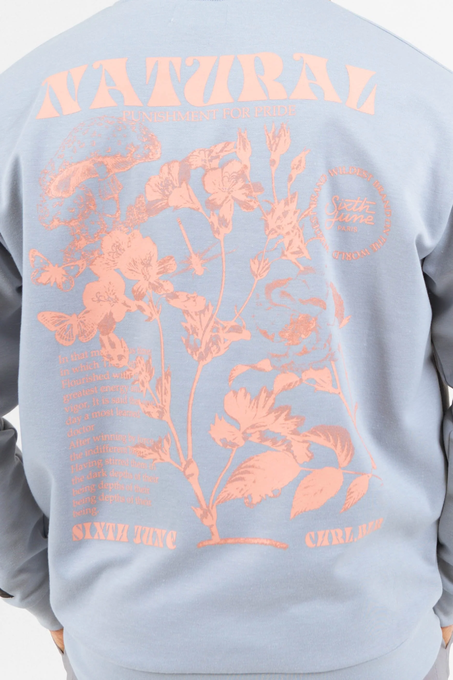 Sweatshirt natural pastel bleu - Image 4