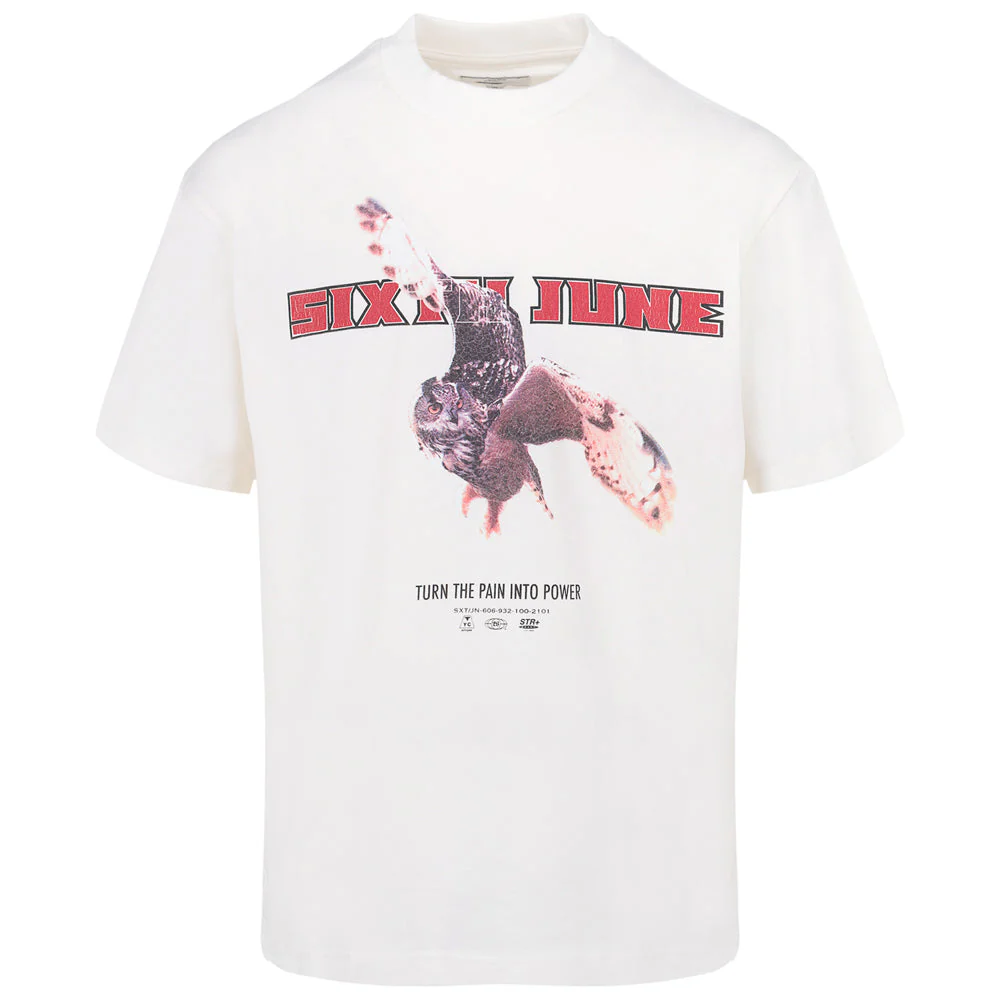 T-shirt vintage eagle Blanc cassé - Image 6