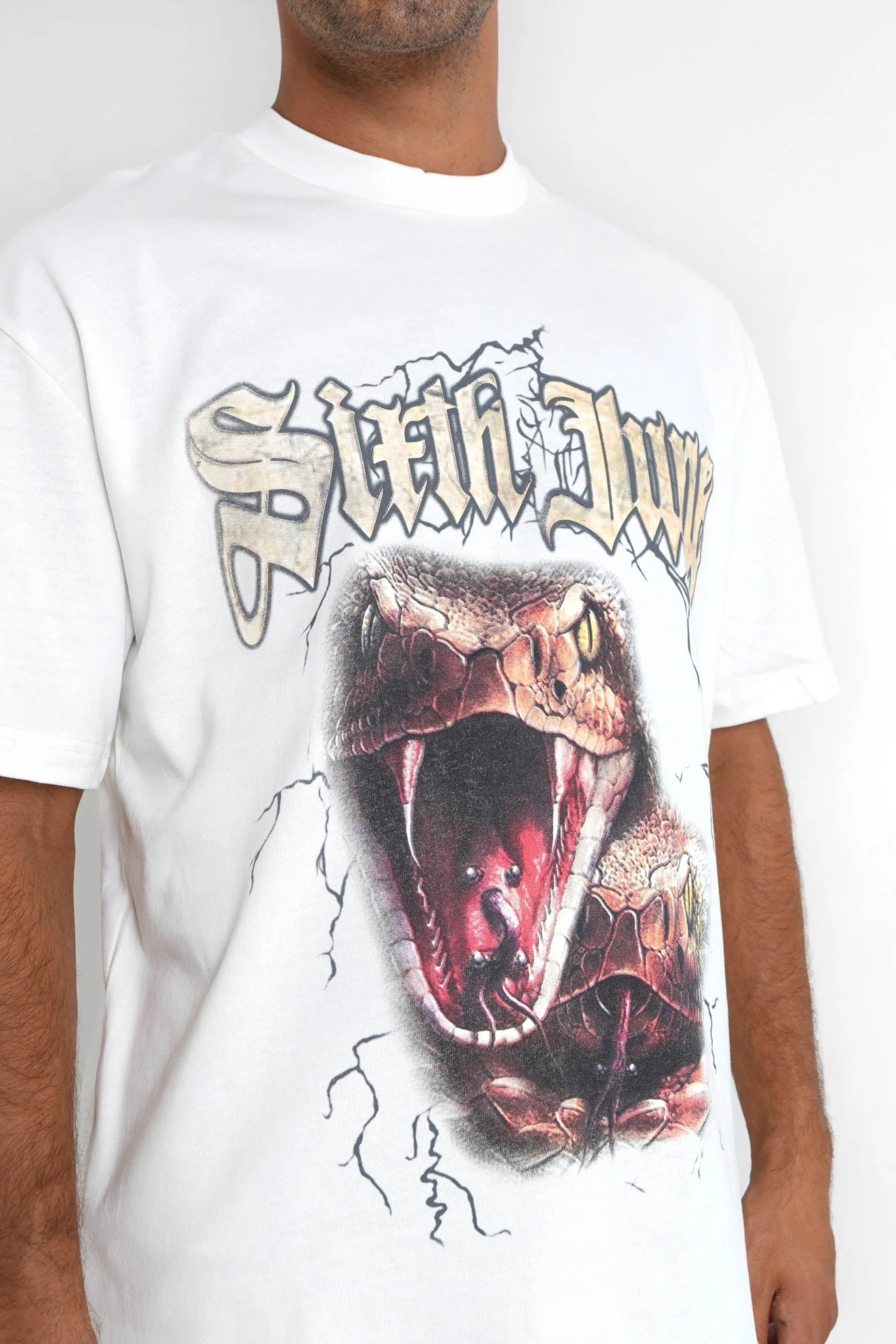 T-shirt vintage serpent Blanc cassé - Image 3